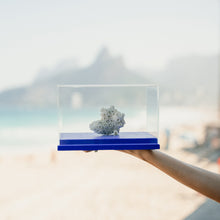 Carregar imagem no visualizador da galeria, Coral-Sol