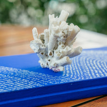 Carregar imagem no visualizador da galeria, Coral-Sol